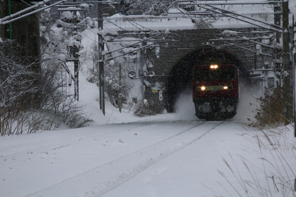 JRF　貨物列車