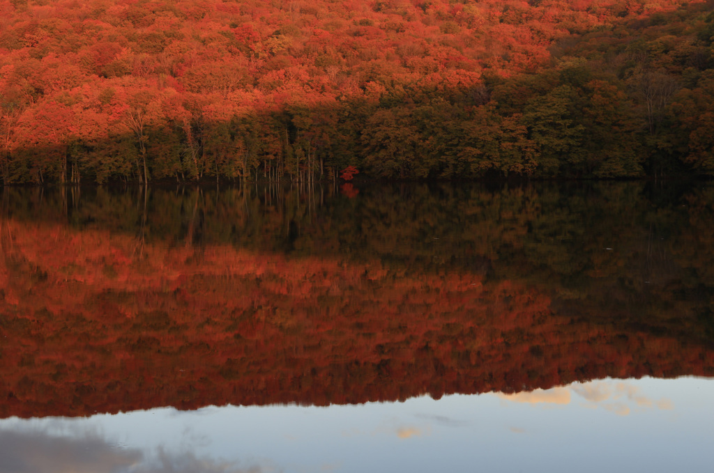 蔦沼の紅葉