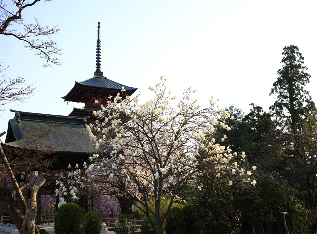 弘前　最勝院