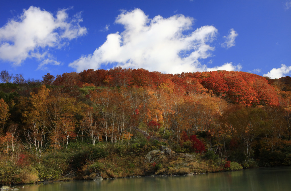 地獄沼の紅葉