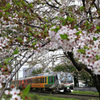 桜とリゾートあすなろ