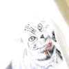 アメショーの子猫