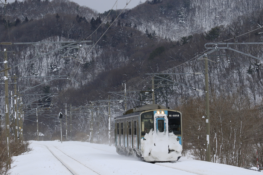 雪の中