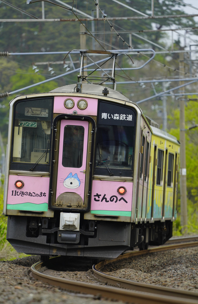 １１匹のねこ　ラッピング列車