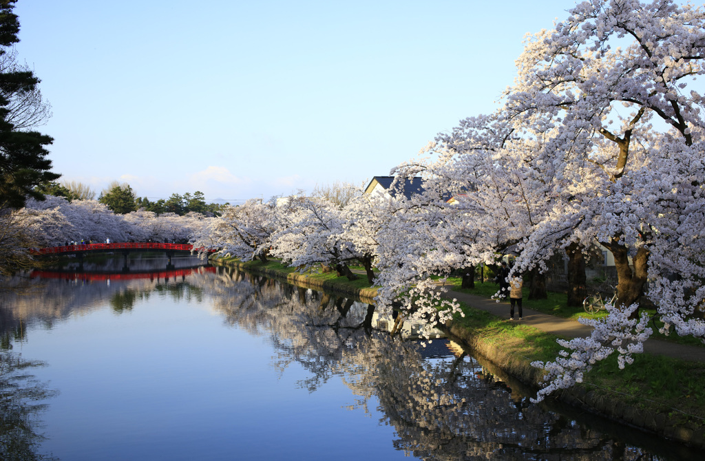 弘前公園　西堀