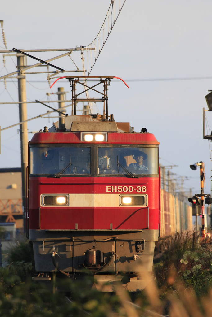 貨物列車　ＥＨ５００