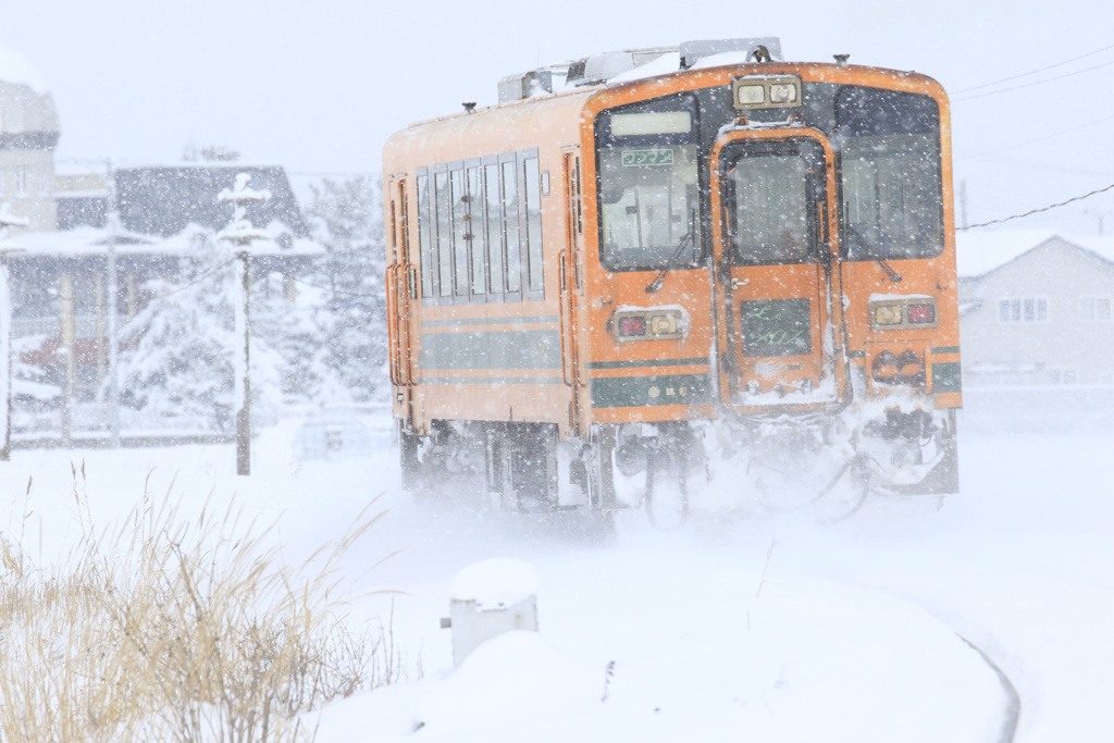 吹雪の中