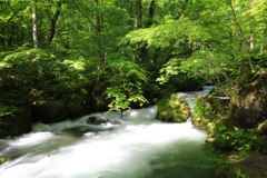 奥入瀬渓流　阿修羅の流れ