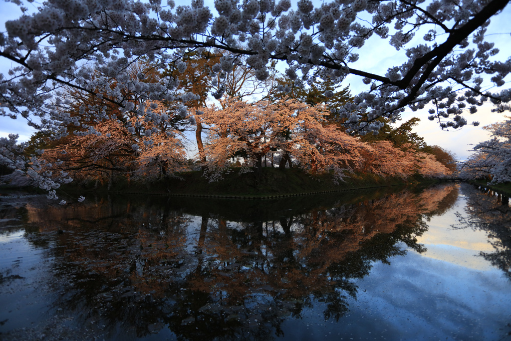 某公園の北側