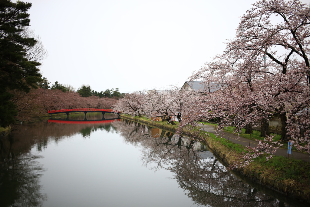 弘前公園　西堀