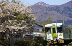 大湊線と桜