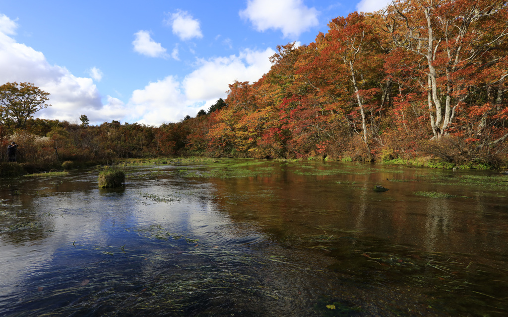 グダリ沼の紅葉