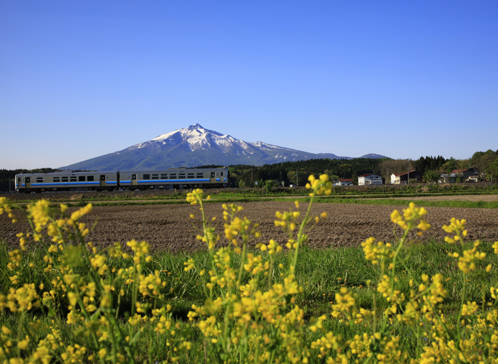 五能線と岩木山