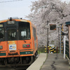 桜と津軽鉄道