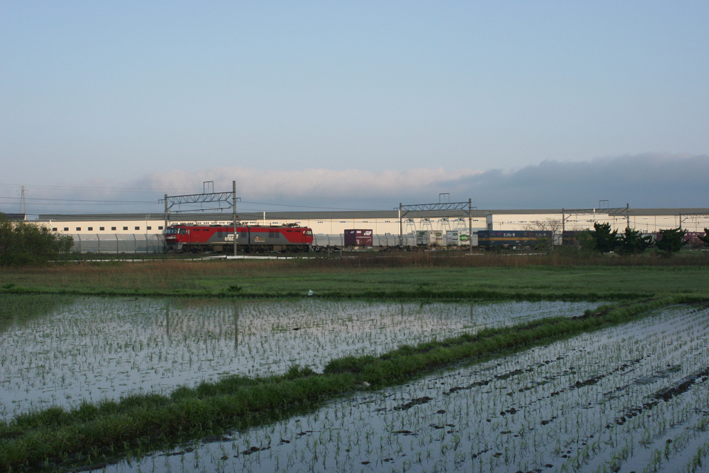 貨物列車と田んぼ