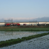 貨物列車と田んぼ