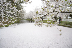 弘前公園の東側