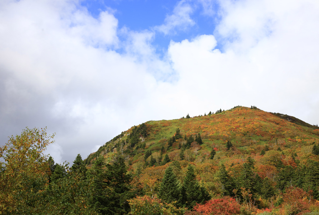 八甲田山の紅葉