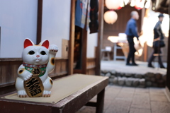 路地裏の招き猫