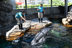ズバーッと
