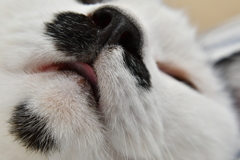 引き続き