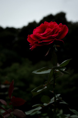 LRM_EXPORT_8603555132497_20191018_203926