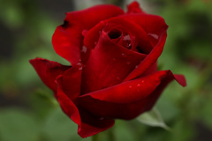 LRM_EXPORT_10295111073049_20191018_21073