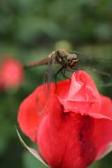 LRM_EXPORT_9915696459757_20191018_210118