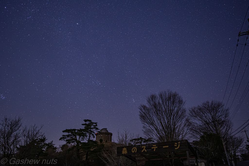 寒空に輝く星☆彡其の１