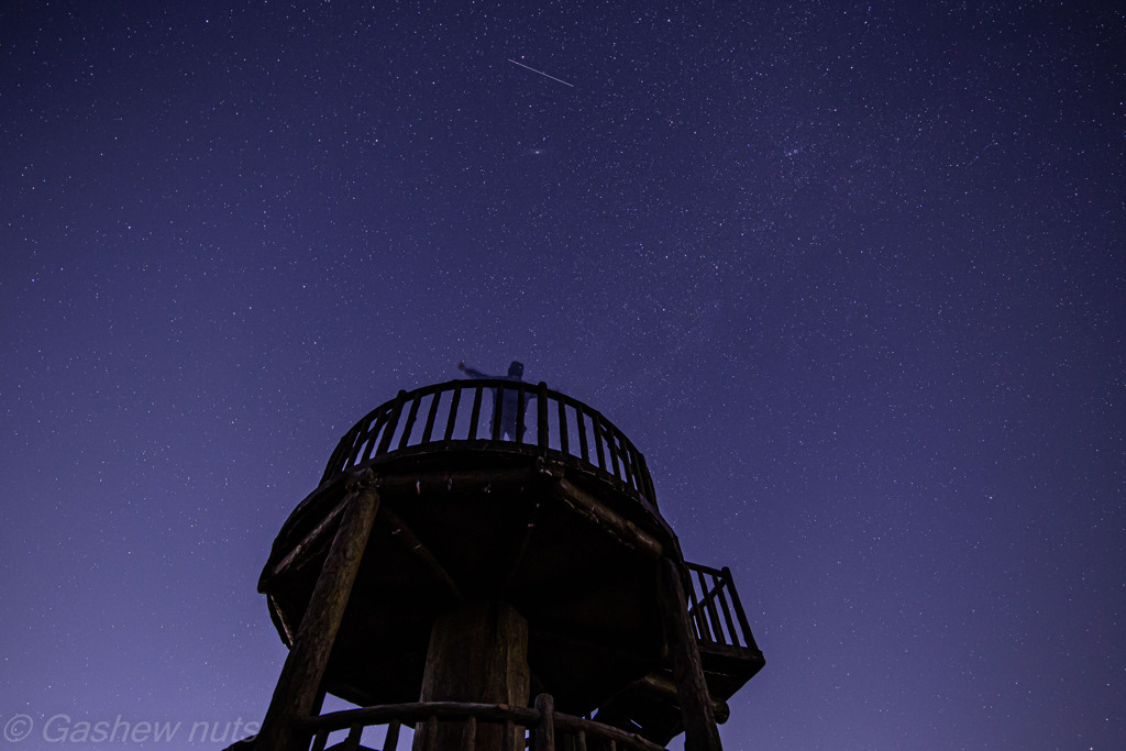 夜空を眺めて