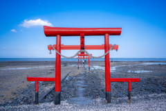 干潮の海中鳥居 干潮の海中鳥居