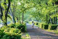 少女とワンちゃん散歩道