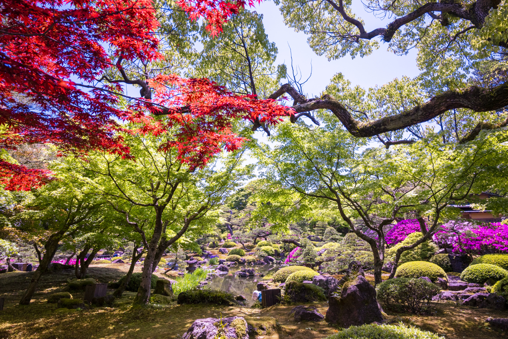 新緑の庭園