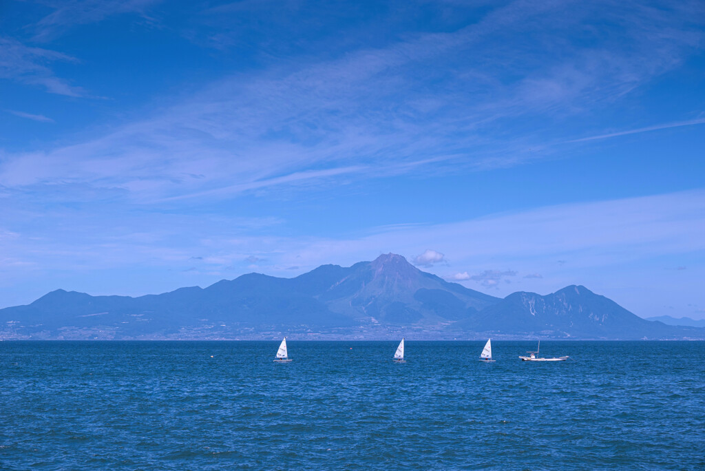 夏の海