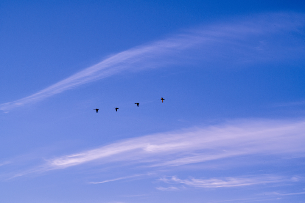 5月の青空