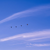 5月の青空