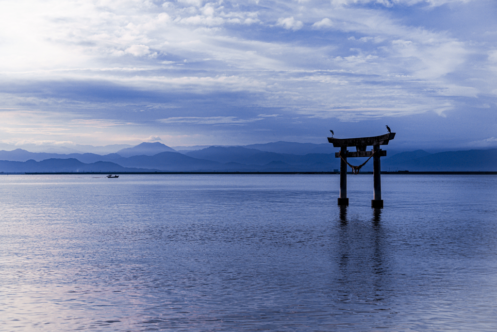 朝の海の鳥居