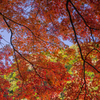 空と山と紅葉