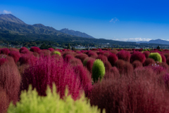 阿蘇根子岳とまだ染まらぬコキアと