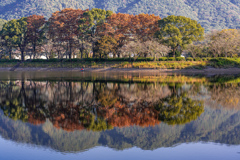 色付く散歩道と釣り人