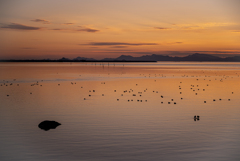 不知火海の夕暮れ