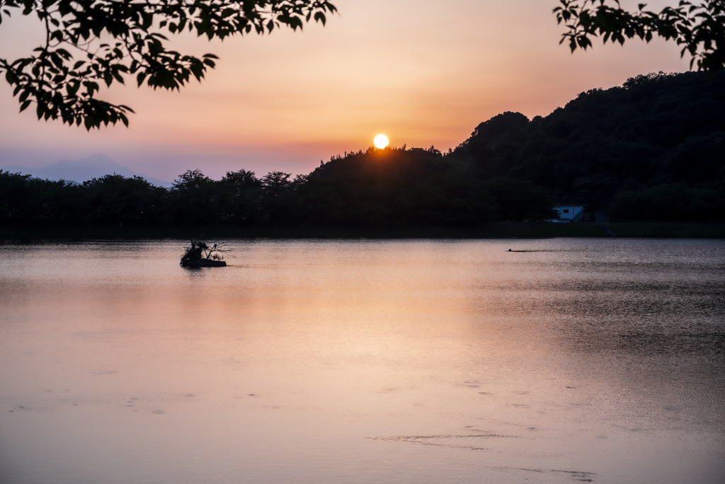 散歩道の夕暮れ