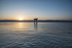 夜明けの海の鳥居