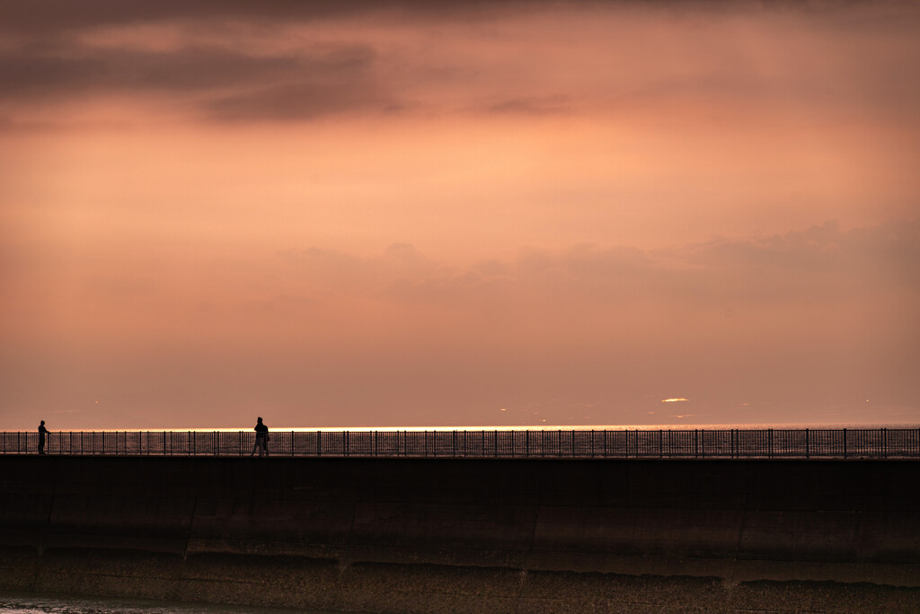 海の散歩道