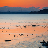 夕闇迫る海と水鳥たち