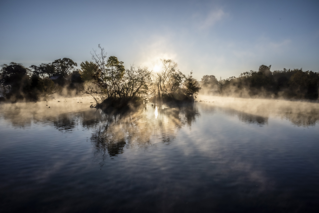 朝霧の池