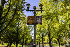 新たなる冒険へ