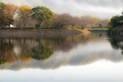 公園の朝