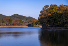 公園の秋