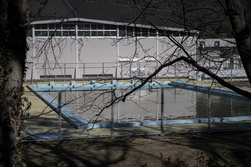 フラッシュバック〜夏の歓声